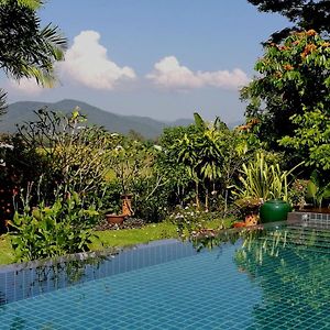 Villa Albizia In Chiang Mai Дойсакет Exterior photo